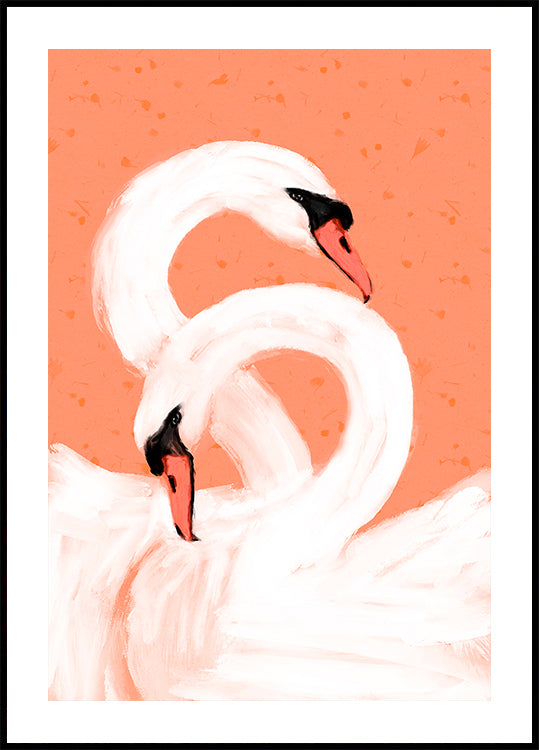 Graceful Swans - Posterbox