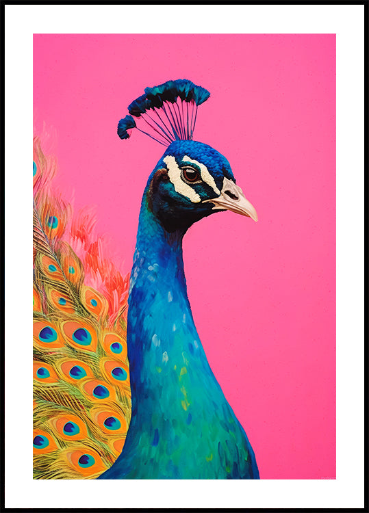 Peacock's Vibrance - Posterbox