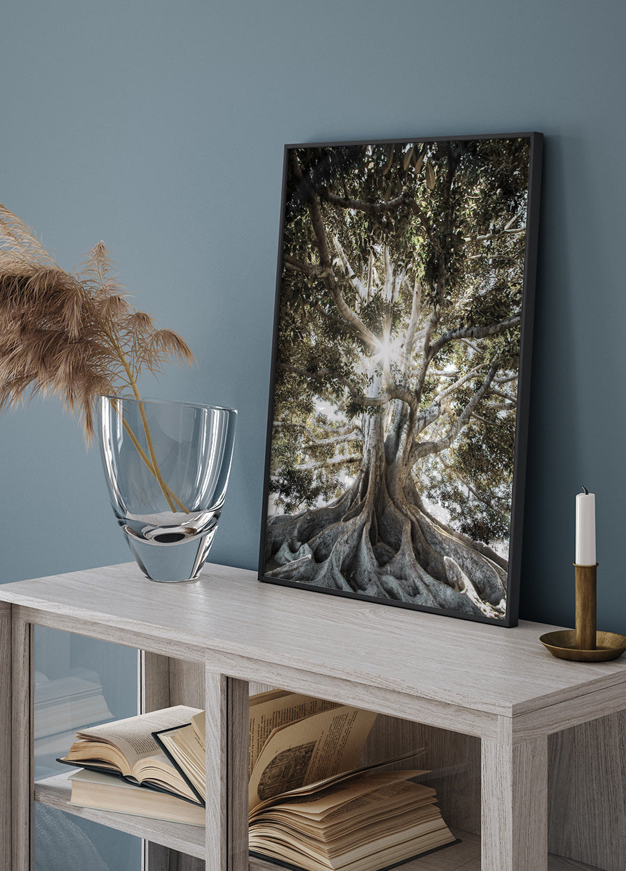 Baum mit großen Wurzeln Poster - Posterbox.dk