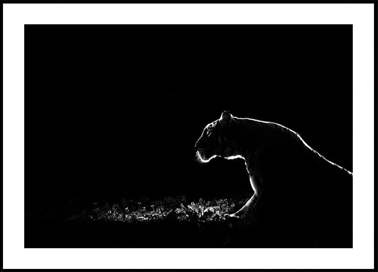 Untitled - Posterbox