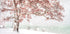 Snow at the lake Plakat - Posterbox