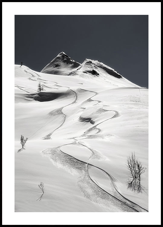 freeride Plakat - Posterbox