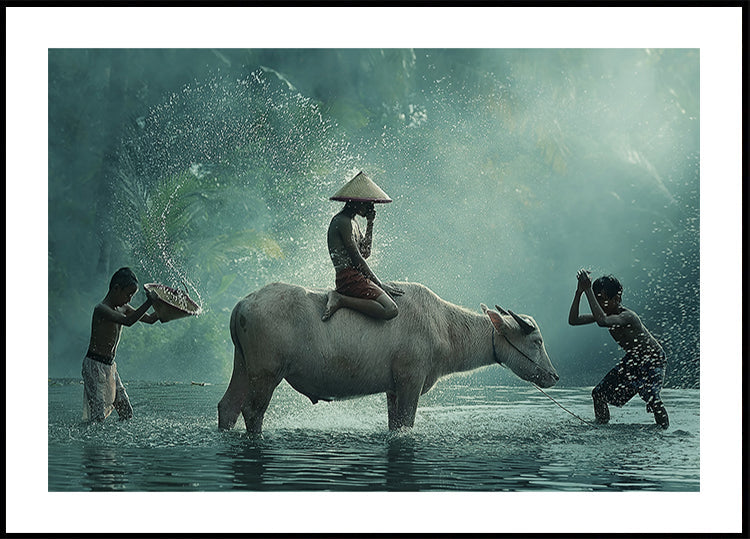 Water Buffalo - Posterbox