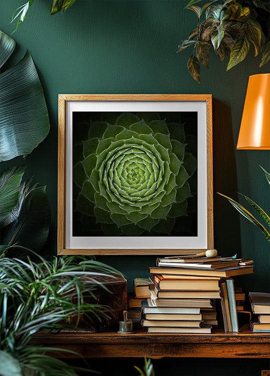 Succulent Plakat - Posterbox
