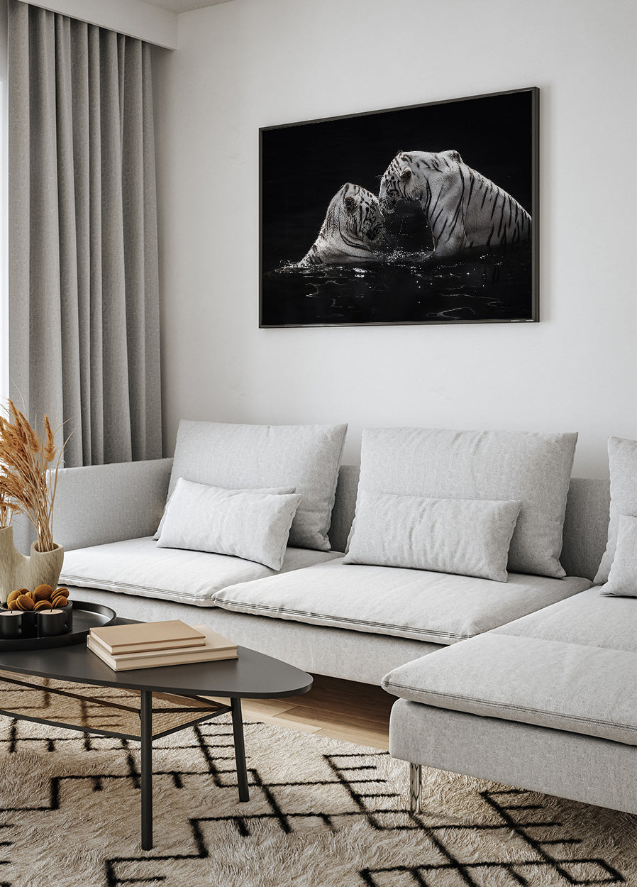 Weiße Tiger im Wasser Poster - Posterbox.dk