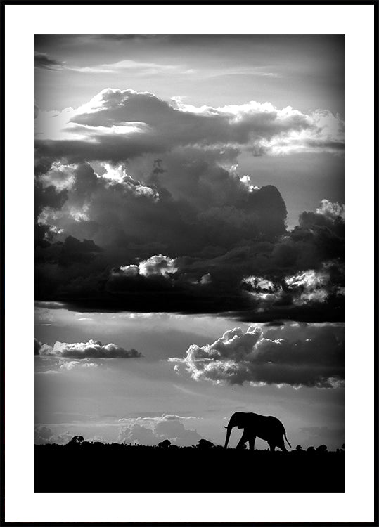 He walks under an African Sky - Posterbox