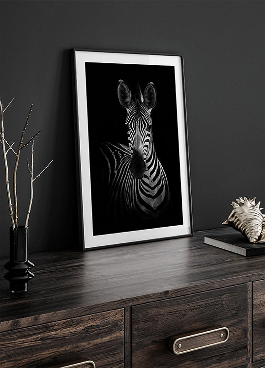The Zebra Plakat - Posterbox