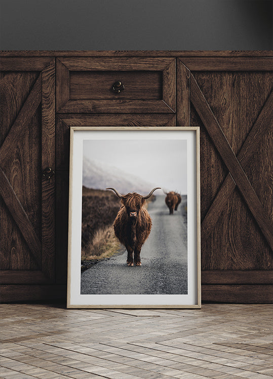Cow Plakat - Posterbox