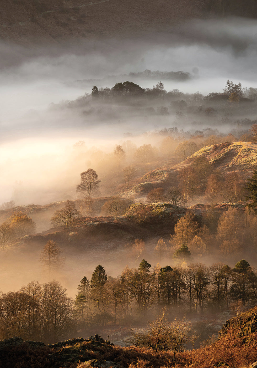 Wundervolles Herbstmorgen-Poster - Posterbox.dk