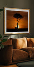 Cheetah at dawn (NEW) - Posterbox
