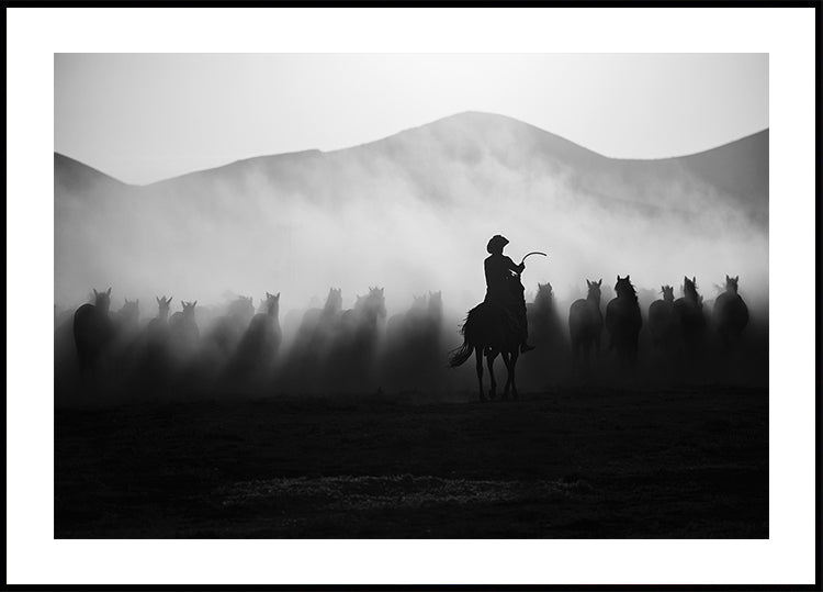 Chasing the Jades! Plakat - Posterbox