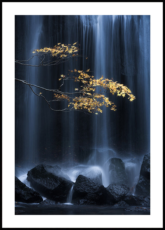 Yellow Autumn - Posterbox