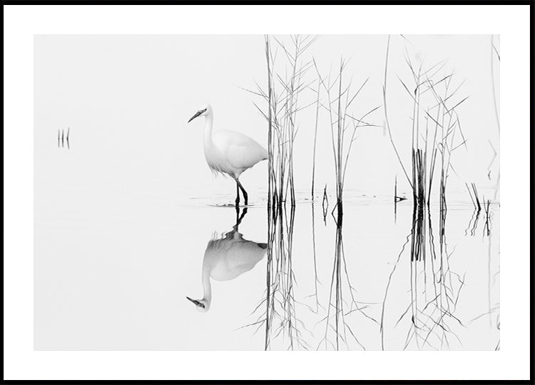 white Plakat - Posterbox